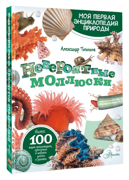 Дополнительное изображение книги «Невероятные моллюски»