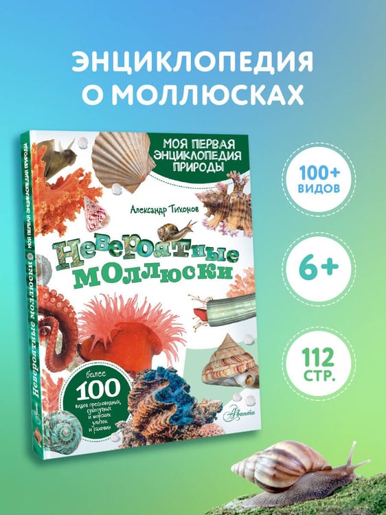 Дополнительное изображение книги «Невероятные моллюски»