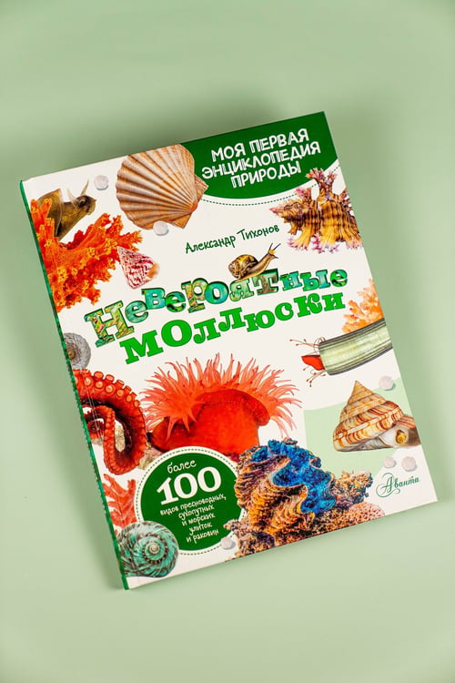 Дополнительное изображение книги «Невероятные моллюски»