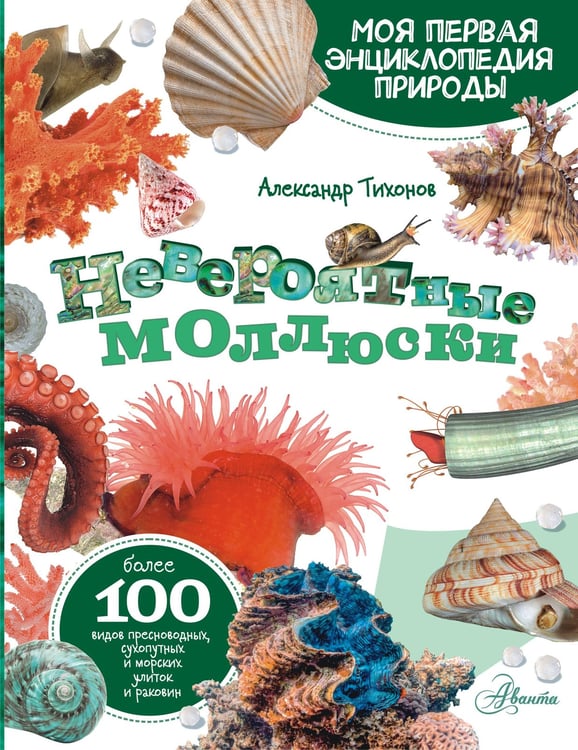 Обложка книги «Невероятные моллюски» — Тихонов Александр Васильевич, ISBN 9785171577575