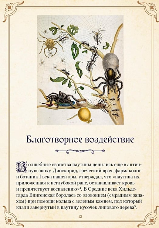 Дополнительное изображение книги «Магические животные. Легенды и суеверия»