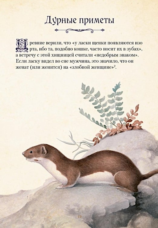 Дополнительное изображение книги «Магические животные. Легенды и суеверия»