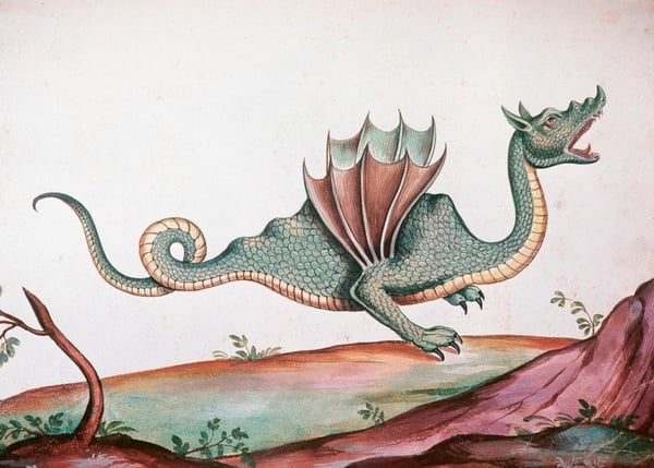 Дополнительное изображение книги «Магические животные. Легенды и суеверия»