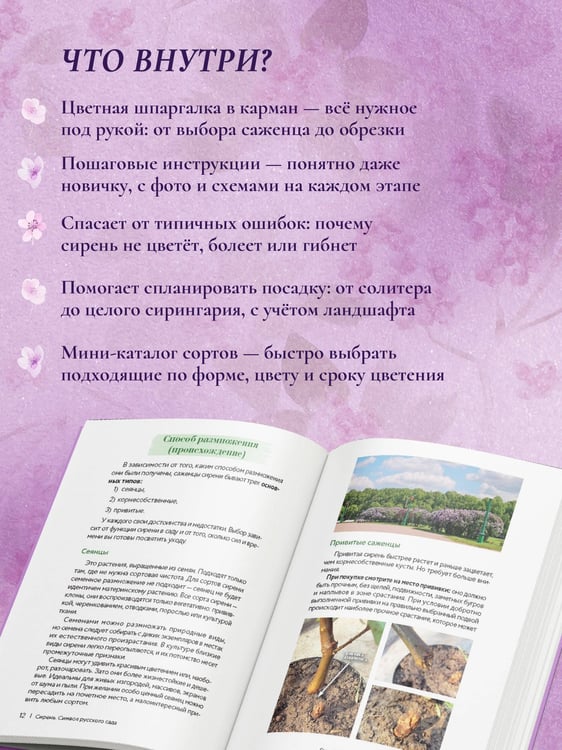 Дополнительное изображение книги «Сирень. Символ русского сада. Шпаргалка-трекер по посадке и уходу»