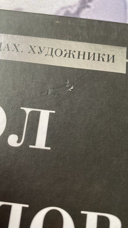 Дополнительное изображение книги «Карл Брюллов»
