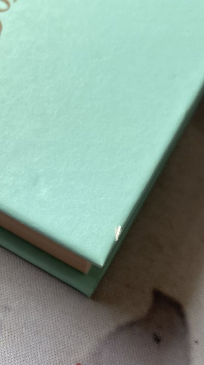 Дополнительное изображение книги «Страница любви»