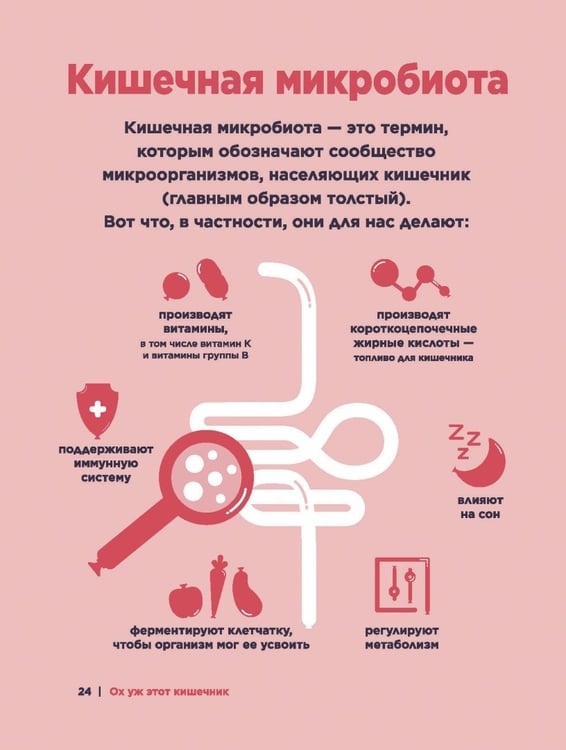 Дополнительное изображение книги «Ох уж этот кишечник. Путеводитель по пищеварительному тракту и его обитателям»