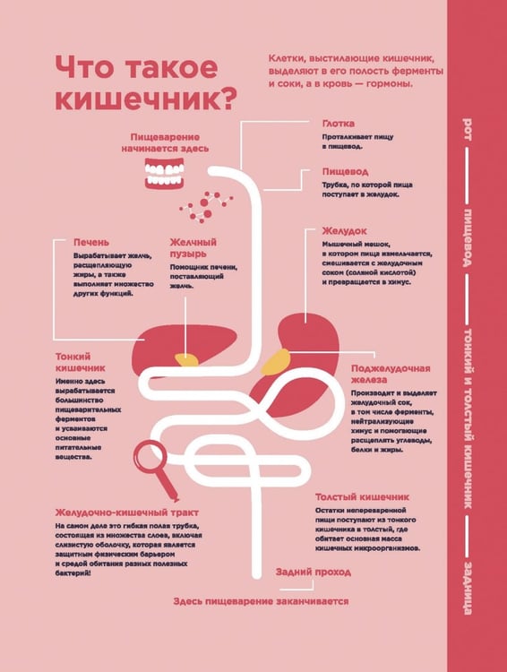 Дополнительное изображение книги «Ох уж этот кишечник. Путеводитель по пищеварительному тракту и его обитателям»