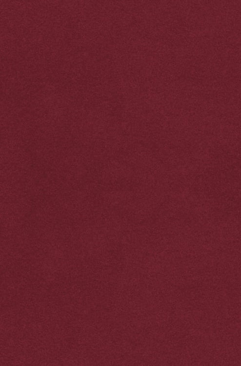 Дополнительное изображение книги «Монархия в XXI веке»