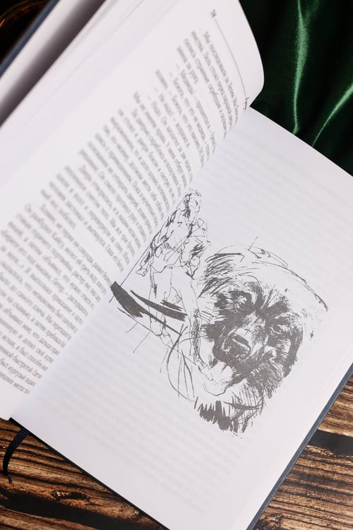 Дополнительное изображение книги «Отель "У погибшего альпиниста"»