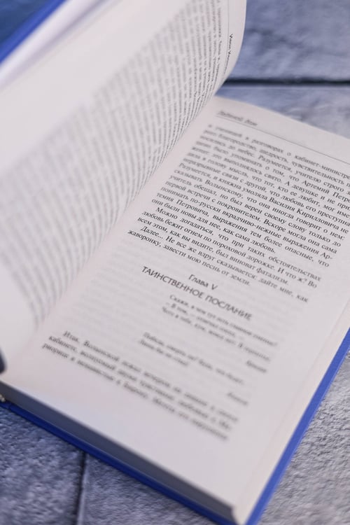 Дополнительное изображение книги «Ледяной дом»