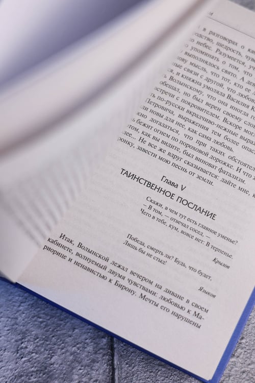 Дополнительное изображение книги «Ледяной дом»
