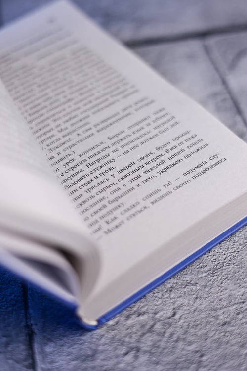 Дополнительное изображение книги «Ледяной дом»