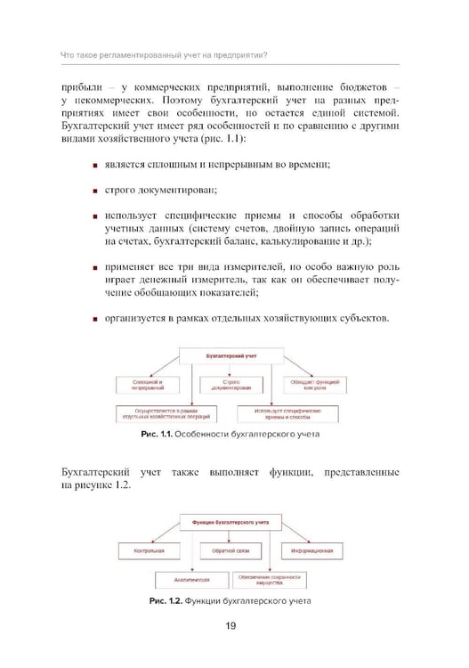 Дополнительное изображение книги «Регламентированный учет»