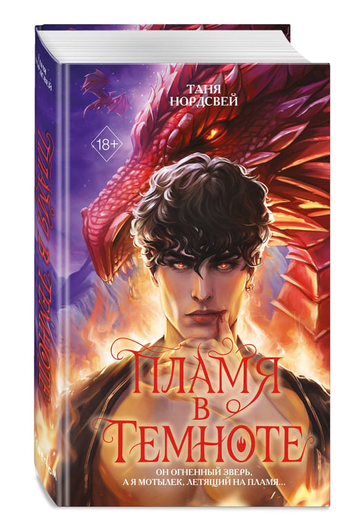 Дополнительное изображение книги «Пламя в темноте»