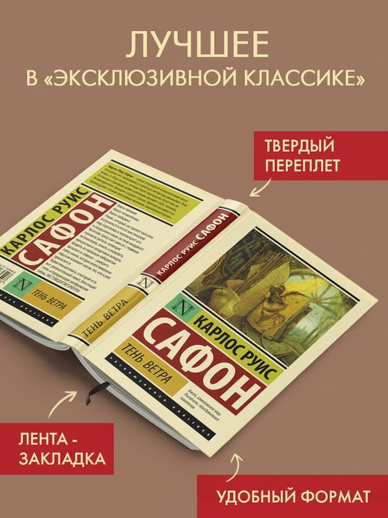 Дополнительное изображение книги «Тень ветра»