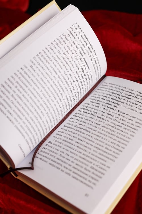 Дополнительное изображение книги «Маг»