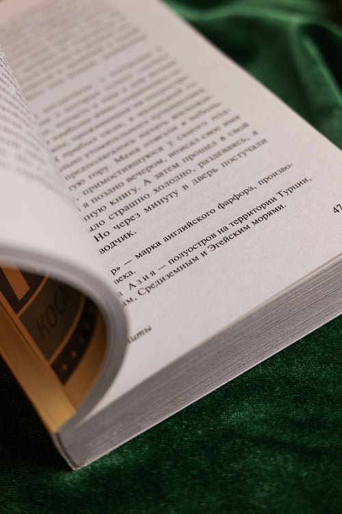 Дополнительное изображение книги «Космополиты»