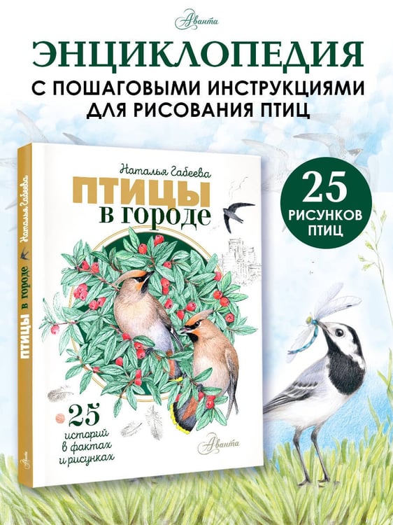 Дополнительное изображение книги «Птицы в городе. 25 историй в фактах и рисунках»
