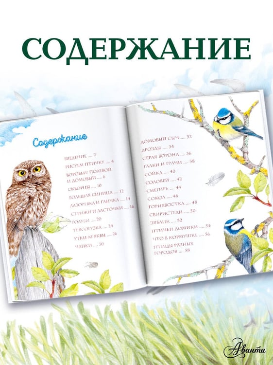Дополнительное изображение книги «Птицы в городе. 25 историй в фактах и рисунках»
