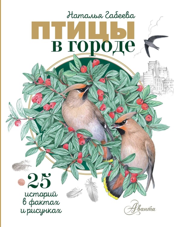 Обложка книги «Птицы в городе. 25 историй в фактах и рисунках» — Габеева Наталья Михайловна, ISBN 9785171832599