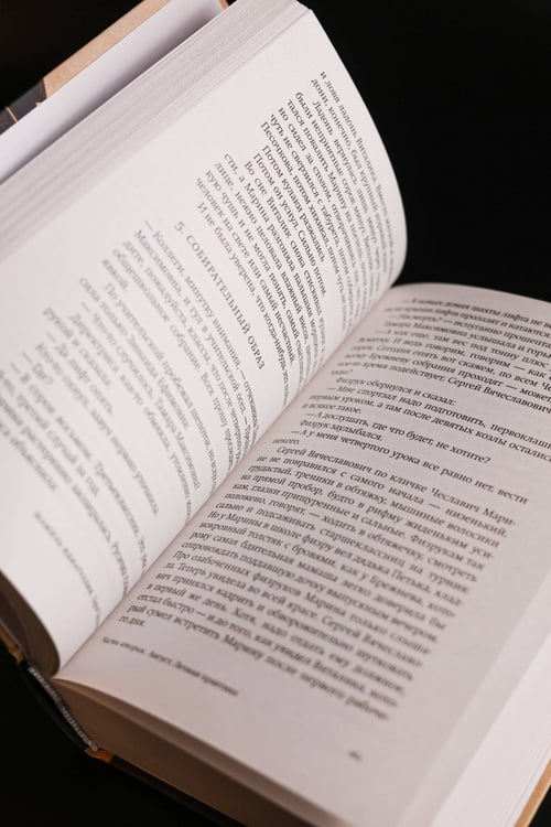 Дополнительное изображение книги «Город Брежнев»