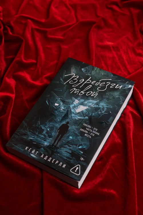 Дополнительное изображение книги «Вдребезги твой»
