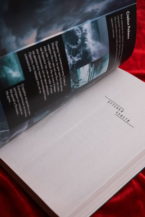 Дополнительное изображение книги «Вдребезги твой»