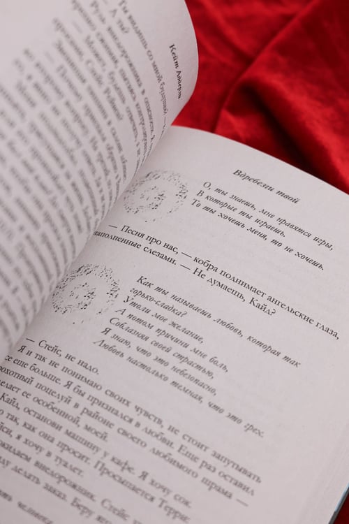 Дополнительное изображение книги «Вдребезги твой»