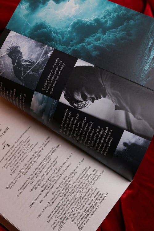 Дополнительное изображение книги «Вдребезги твой»