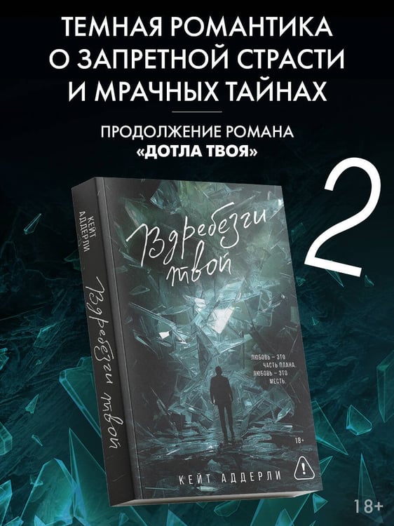 Дополнительное изображение книги «Вдребезги твой»