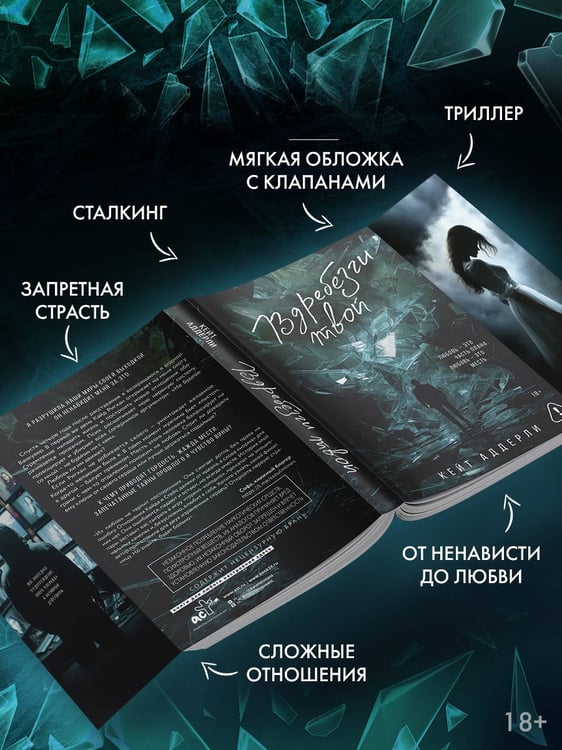 Дополнительное изображение книги «Вдребезги твой»