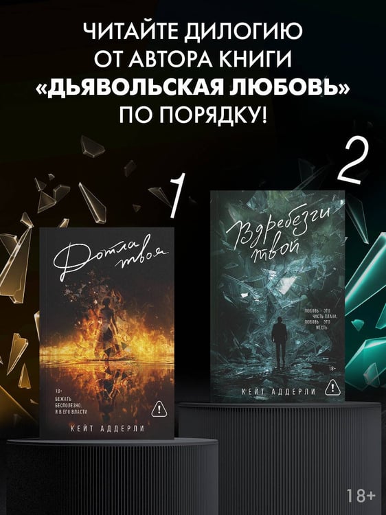 Дополнительное изображение книги «Вдребезги твой»