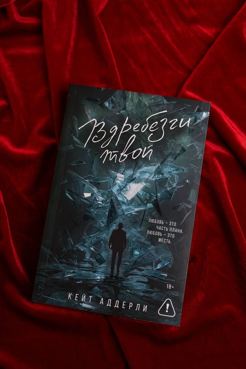 Дополнительное изображение книги «Вдребезги твой»
