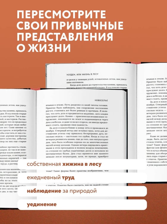 Дополнительное изображение книги «Уолден, или Жизнь в лесу»