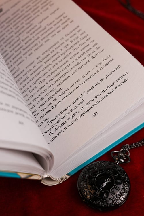 Дополнительное изображение книги «Амалия и Принц воров»