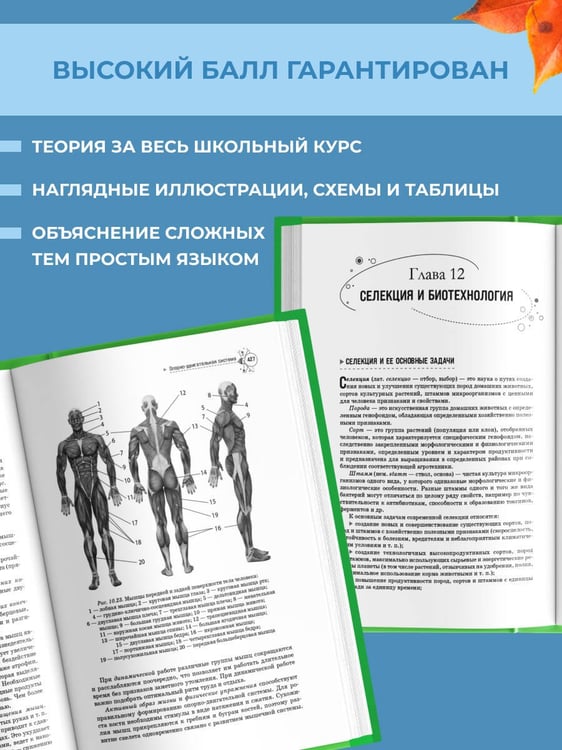 Дополнительное изображение книги «Биология. Справочник для подготовки к ЕГЭ, олимпиадам и поступлению в вуз»