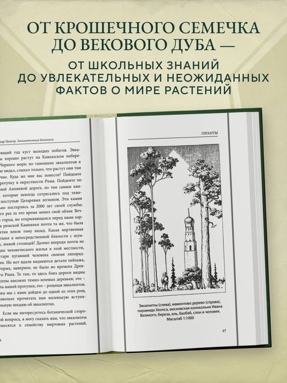 Дополнительное изображение книги «Занимательная ботаника. Лучшие советские учебники»
