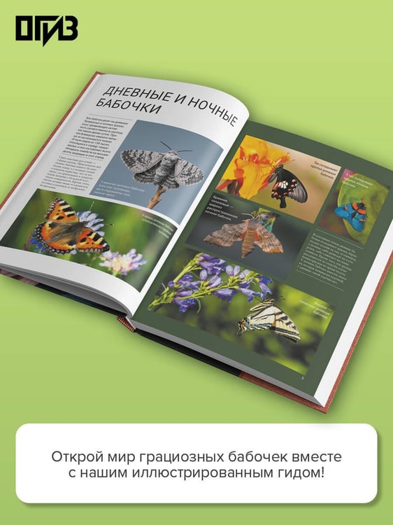Дополнительное изображение книги «Бабочки»