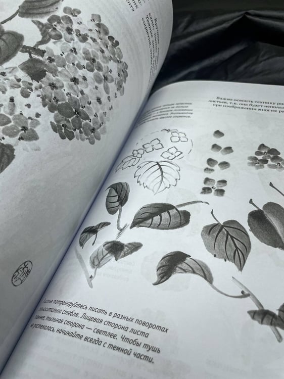Дополнительное изображение книги «Основы японской живописи суми-э»