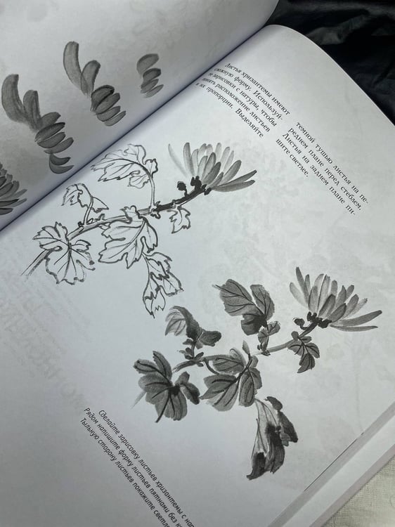 Дополнительное изображение книги «Основы японской живописи суми-э»