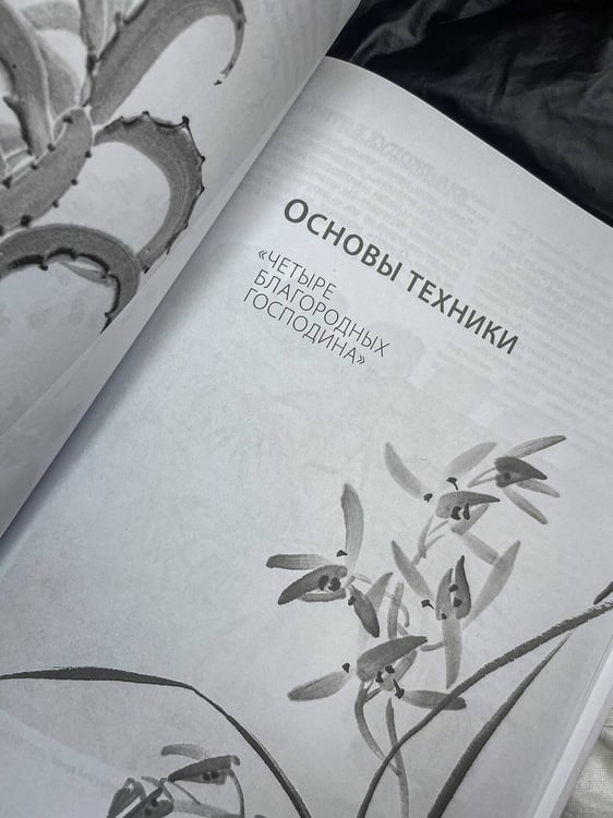 Дополнительное изображение книги «Основы японской живописи суми-э»