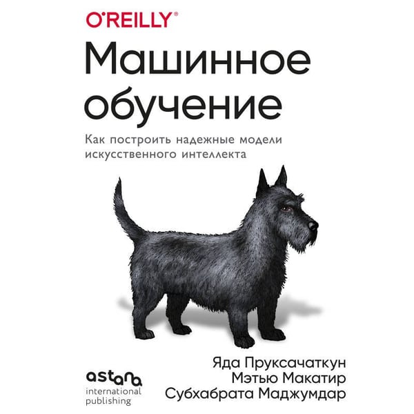 Дополнительное изображение книги «Машинное обучение. Как построить надежные модели искусственного интеллекта»