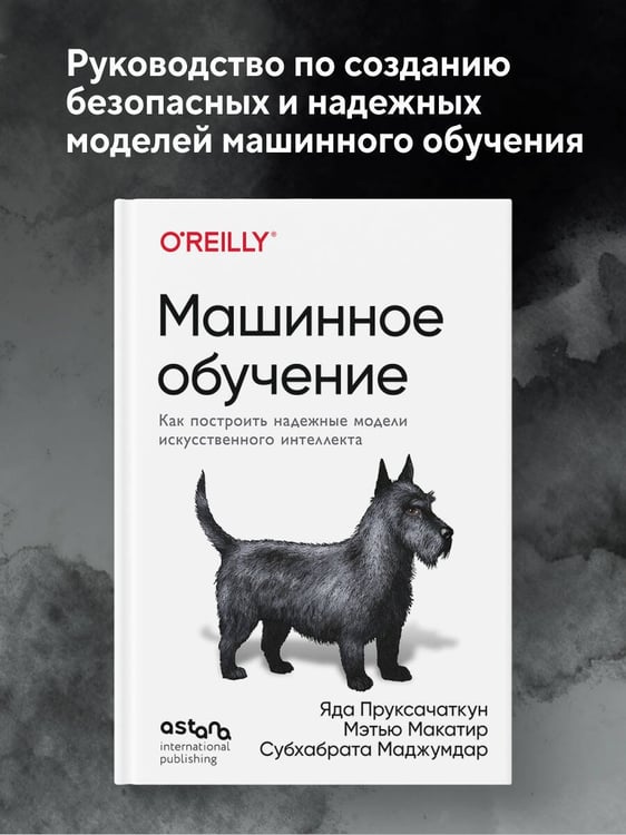 Дополнительное изображение книги «Машинное обучение. Как построить надежные модели искусственного интеллекта»