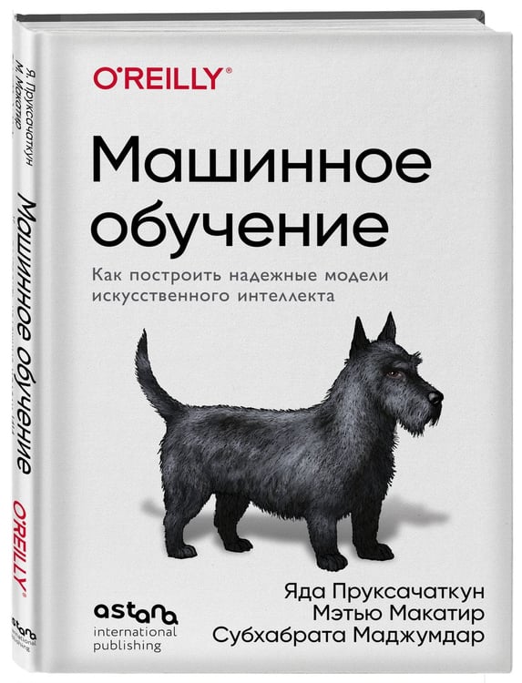 Дополнительное изображение книги «Машинное обучение. Как построить надежные модели искусственного интеллекта»