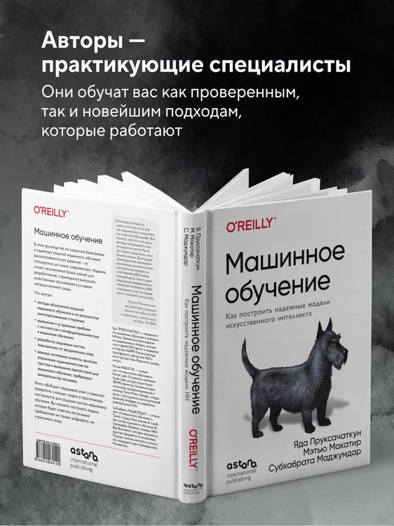 Дополнительное изображение книги «Машинное обучение. Как построить надежные модели искусственного интеллекта»
