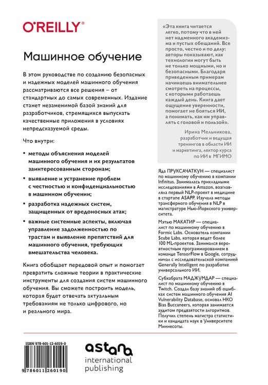 Дополнительное изображение книги «Машинное обучение. Как построить надежные модели искусственного интеллекта»
