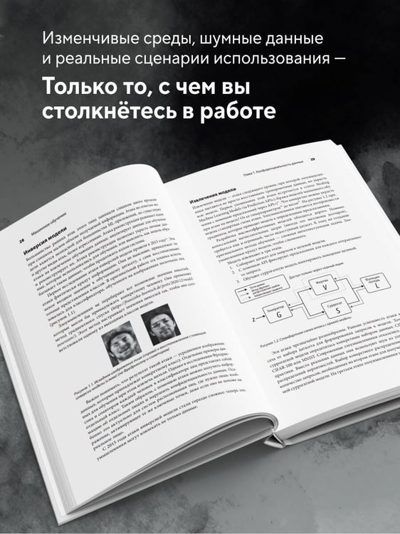 Дополнительное изображение книги «Машинное обучение. Как построить надежные модели искусственного интеллекта»