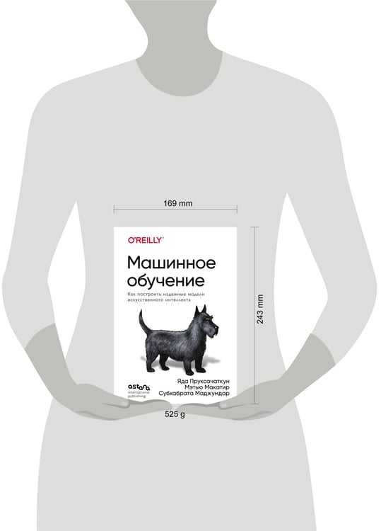 Дополнительное изображение книги «Машинное обучение. Как построить надежные модели искусственного интеллекта»