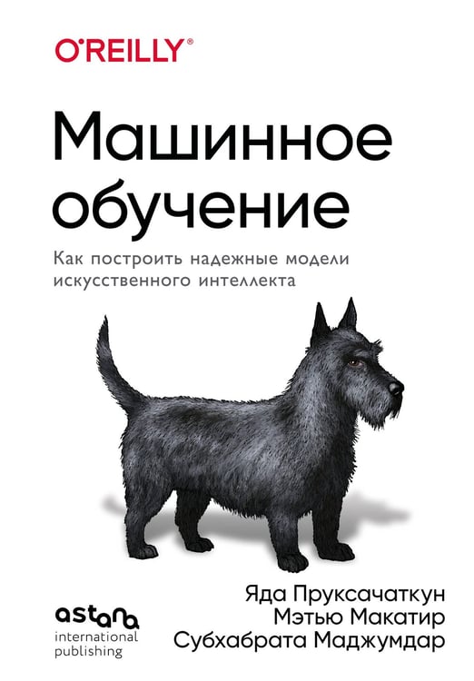 Обложка книги «Машинное обучение. Как построить надежные модели искусственного интеллекта» — Пруксачаткун Яда;Макатир Мэтью;Маджумдар Субхабрата, ISBN 9786011260190